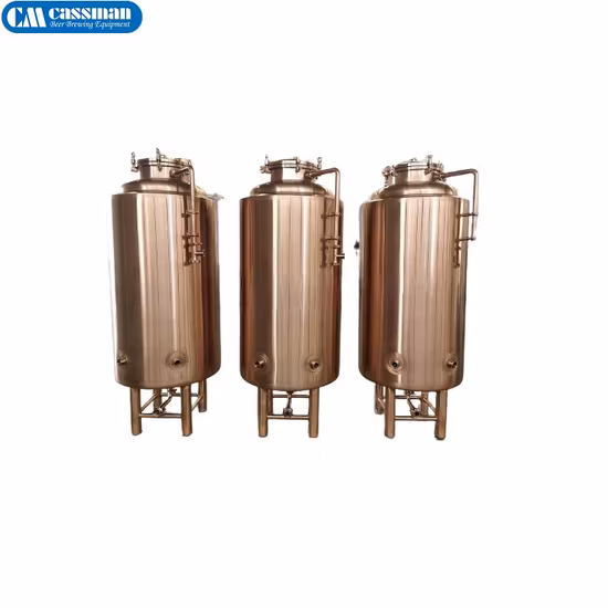 100L 2bbl 10bbl 3000L Bright Beer Brite Tank