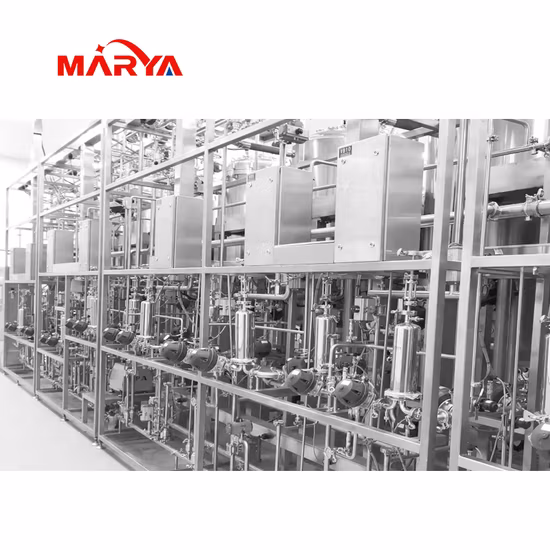 Marya 1000L Stainless Steel Inside Mirror Beer Conical Wine Tank Fermentation Tank Mixing Storage Tank Provider