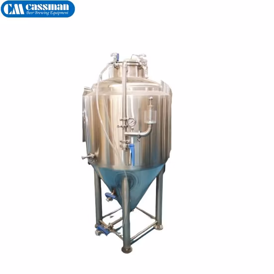 100L 2bbl 10bbl 3000L Bright Beer Brite Tank